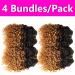 Ombre Brown Curly Human Hair Bundles 8 Inch, 12A Brazilian Virgin Kinky Curly Weave Bundles, Pack of 4 for Women - Buy Online on GoSupps.com