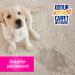 Pro-Kleen Odour Attack! Pet Carpet Cleaner Enzyme Shampoo 5L Citrus - Urine Cleaner with Active Enzymes to Eliminate Urine Faeces & Vomit Stains From Dogs Cats Humans All Carpet Types - Buy Online on GoSupps.com