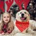 Shop Lionheart Glory Dog Haller Christmas Bib - Washable Soft Cotton Adjustable Neckerchief for Small Dogs - Red 1 Pack - Buy Online on GoSupps.com