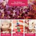 June Fox Dried Rose Petals 1 Pound - Fragrant Petals for Rose Water, Bath Bombs, Soap, Candle Making & Sachets - Pure Natural Red Rose - Buy Online on GoSupps.com