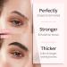 ICONSIGN Brow Lamination Kit - Professional Semi-Permanent Eyebrow Lift for Fuller & Thicker Brows | Long Lasting up to 8 Weeks | Salon & Home Use - Buy Online on GoSupps.com