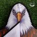 Eagle Kite for Kids and Adults - 60 Wingspan - High Quality and Easy to Fly - Buy Online on GoSupps.com
