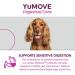 Yumpro Bioactive Tablets - 300 Count | Premium Wellness Supplement for Global Shipping - Buy Online on GoSupps.com
