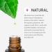 Rocky Mountain Oils Sports Pro Essential Oil Blend 15ml | 100% Pure Essential Oils for Athletes & Wellness - Buy Online on GoSupps.com