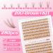 280pcs Lankiz Brown Eyelash Extensions Set - 20D C Curl Mix 9-15mm Individual Lashes with Adhesives Glue Remover & Applicator | Perfect for Beginners - Buy Online on GoSupps.com