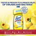 Lysol Clean and Fresh Lemon and Sunflower Multi-Surface Cleaner 40 Fl Oz (Pack of 3) - Buy Online on GoSupps.com