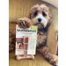 Bamboodles T-Bone Chew Toy for Dogs - Small 4" Peanut Butter Flavour for All Breed Sizes - Buy Online on GoSupps.com