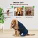 XL Blue Dog Drying Coat by The Wagging Tailor - Soft Microfibre Towelling - Adjustable Velcro Collar & Under Belly - Large Dog Jumper for Quick Drying - Buy Online on GoSupps.com