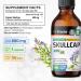 Buy Skullcap Herb Tincture - Scutellaria Lateriflora Liquid Extract - Alcohol & Sugar Free Vegan Drops - 4 Fl Oz - International Shipping Available - Buy Online on GoSupps.com
