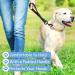 Short Dog Leash with Padded Handle | Reflective Nylon for All Dog Sizes | 32cm Training Leash - Buy Online on GoSupps.com