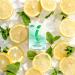 True Citrus True Lemon Fruit Infusion - Lemon Mint 10 Packets | Refreshing Flavor - Buy Online on GoSupps.com