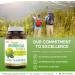 Herba Rhodiola Rosea Supplement 200mg - 90 Capsules | 6:1 Extract | Rhodiola Supplement with Min 3% Rosavins and 1% Salidrosides | Help Relieve Symptoms of Stress | Made in Canada - Buy Online on GoSupps.com