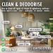 Dirtbusters Carpet Cleaner Shampoo Solution Clean & Deodorise 3-in-1 Cleaning Stain Remove & Odour Treatment Berry Fresh (1L) - Buy Online on GoSupps.com