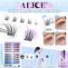 ALICE Self Adhesive Lash Clusters - Natural Reusable Eyelashes | No Glue Needed | 132pcs C Curl Press-On Lashes with Tweezers - DIY Lash Extensions - Buy Online on GoSupps.com