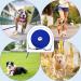 Waterproof Dog Drag Line | Chew-Proof Tie-Out Leash 3-30m | Robust Training Line for All Dog Sizes 3m Blue - Buy Online on GoSupps.com