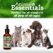 Animal Essentials Seasonal Allergy Herbal Supplement for Dogs & Cats - USA Made, Sweet Tasting Relief - 1 fl oz - Buy Online on GoSupps.com