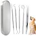 Tartar Remover Dog Tooth Cleaning Kit Stainless Steel Dental Care Set Tooth Cleaning Tool for Pet with Metal Case 5 Pieces