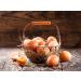 Pure 100% Egg Protein Powder - Natural Chicken Egg Whites | Einprotein 1250g Bucket - Buy Online on GoSupps.com