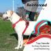 Buy Heele XL Dog Harness - Adjustable Reflective Floral Red Running Harness with Lockable Snap Lock - Anti-Train & Open Neck Design - Buy Online on GoSupps.com