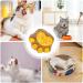 Paw Cat Treats - Natural Cat Paw Biscuits for Oral Cleaning | Healthy Dry Cat Snacks for Indoor Cats | Kitten Treats and Training Biscuits | Chewy Cat Food Treats for Kittens | Cat Snacks Treats 1 count (Pack of 1) - Buy Online on GoSupps.com