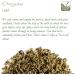 Organic Oregano Spice - Dried Greek Wild Marjoram Seasoning 100g | Premium Gourmet Herb - Buy Online on GoSupps.com