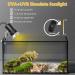 Klarlight Tortoise Heat Lamp E27 100W Heat Lamp for Reptiles Basking Lamp with E27 Ceramic Bulb Holder and Dimmer Switch (Includes 2 UVA UVB Bulbs 25W+50W) - Buy Online on GoSupps.com
