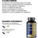 Jarmor L-Carnitine & Alpha Lipoic Acid Supplement - 90 Capsules | 600mg L-Carnitine & 250mg ALA for Weight Loss & Energy Boost | International Shipping Available - Buy Online on GoSupps.com