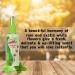 Pet Silk Rainforest Cologne 11.6 oz - Dog & Cat Deodorant Perfume Spray | Conditioning & Deodorizing | Clean & Fresh Fragrance | Grooming Perfume for Pets - Buy Online on GoSupps.com
