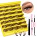 Cluster Lashes Kit Brown DIY Lash Extensions Kit Natural Look Individual Lashes Strong Hold Lash Glue Tweezers False Eyelashes CC Curl by ALICE B19