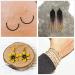 Glass Seed Beads Jewelry Making Kit - 4800Pcs 3mm Pony Beads, 24 Colors - DIY Bracelets, Necklaces, Earrings - Gacuyi - Buy Online on GoSupps.com