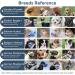 Shop High-Quality Silicone Basket Muzzles for Medium & Large Dogs - Effective Bark Control & Comfort - Buy Online on GoSupps.com