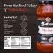 Botticelli Marinara Premium Italian Pasta Sauce 24oz Jars (Pack of 2) - Gluten-Free, Whole30 Approved - Product of Italy - No Added Sugar, Artificial Colors, Flavors, or Preservatives - 1.5lb (Pack of 2) - Buy Online on GoSupps.com