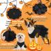 QBLEEV Dog Dress Dog Wedding Dress for Medium Dogs Bowknot Dog Wedding Attire Black Dog Dress Pet Dog Bride Costume Lace Tutu Skirt Halloween Dog Princess Dress Puppy Apparel Dog Formal Dress XXL Black XXL - Buy Online on GoSupps.com