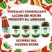 Valle del Crati Pinsa Bases - 6 Pre-Cooked Italian Pinsa Ready in 5 Minutes 250g Each Long Sourdough Authentic Made in Italy - Buy Online on GoSupps.com