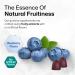 BIO KRAUTER Milk Thistle Liver Detox Gummies - 1500 mg Strength - 60 Chews - Silymarin Milk Thisle Supplement - Vegan Gelatine-Free Formula - Buy Online on GoSupps.com