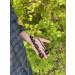 Scotch Eye Wood Auger Drill Bit for Bushcraft & Camping - Hand Auger for Backpack Gear - Buy Online on GoSupps.com