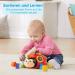 VTECH Baby Happy Learning Beetle | Interactive Sorting Toy for Shapes Colors & Numbers | Ages 12-36 Months | Red - Buy Online on GoSupps.com