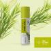 Dr. Organic Tea Tree Lip Balm | Moisturizing SPF 15 | Vegan Paraben & SLS-Free | 5.7ml - Ideal for Men & Women - Buy Online on GoSupps.com