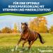 EGGERSMANN Horse Vital Plus 4 kg - Mineral-Rich Vitamin Feed for All Horses - Optimal Care & Supplement  - Buy Online on GoSupps.com