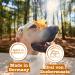 Chewies Maxi Lamb Dog Training Treats - Sugar-Free High Meat Content 200g Pack - Ideal for Training - Buy Online on GoSupps.com