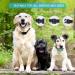 Bark Collar for Small, Medium & Large Dogs | Anti Barking Device with Vibrating Technology - Buy Online on GoSupps.com