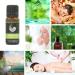 Calmer Solutions Rosewood 100% Pure Essential Oil 10ml - Pack of 1 - Buy Online on GoSupps.com