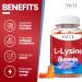 L-Lysine 1000mg Gummies - Vegan Gluten Free Chewable Amino Acid Supplement for Skin & Immune Support - 60 Count Non-GMO - Buy Online on GoSupps.com