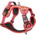 Heele Dog Harness - Adjustable Reflective Floral Red Running Harness for Dogs | Anti-Train Lockable Snap Lock Neck Open M Chest 38-71cm - Buy Online on GoSupps.com