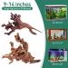 Natural Driftwood Aquarium Decor - Assorted Branches for Reptile/Fish Tank (2 Pack, 9-14 inch) - Buy Online on GoSupps.com