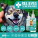 MediPaws Ear Cleaner for Dogs | Dog Ear Wax Remover & Calms Dog Itchy Ears | Perfect Dog Ear Cleaner For Smelly Ears | Fast Acting Easy-To-Clean Formula | Natural Ear Cleaning Solution For Dogs - Buy Online on GoSupps.com