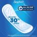 Stayfree Maxi Pads Super - 66 Count for Women | Absorbent Protection - Buy Online on GoSupps.com