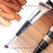 GLORAY Dual Ended Foundation & Concealer Brush - Premium Vegan & Cruelty-Free Makeup Brush for Airbrushed Finish - Liquid Cream Powder Applications - Buy Online on GoSupps.com