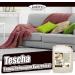 Lorito Tescha Carpet Cleaner - 10L Concentrate | Effective Carpet Shampoo & Care for Spray Extraction - Buy Online on GoSupps.com