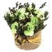 TOPBATHY Artificial Roses 2pcs Potted Roses Bonsai Pot Office Mini Linen Rose Bonsai Greenx2pcs 12X10CMx2pcs